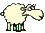 [sheep]